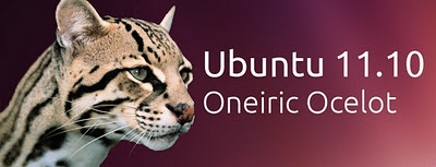 actualizar ubuntu sin internet