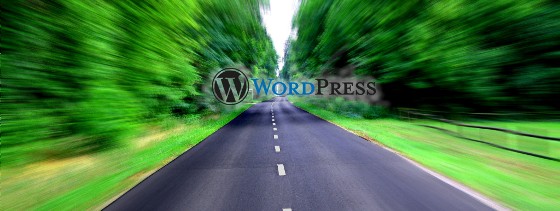 wordpress excerpts speed